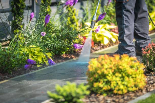  Torrington, CT Pressure Washing Pros